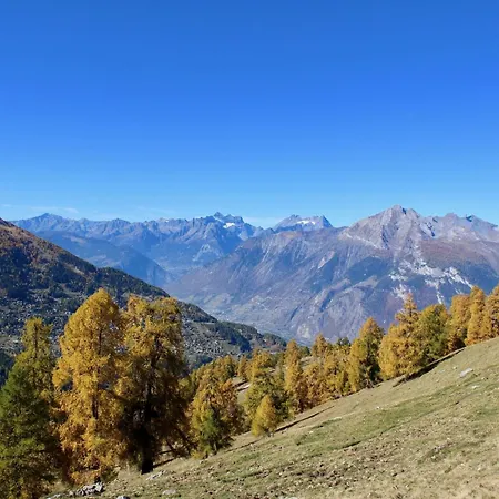 Apartmán On Floor Four With Balcony